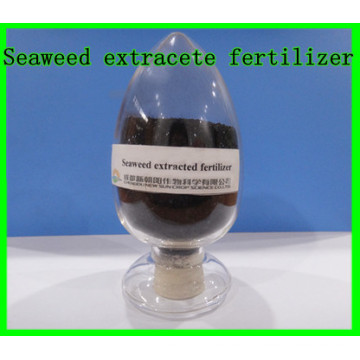 Seaweed Extract Fertilizer